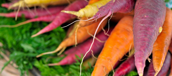 Colorful Carrots Colorful Carrots