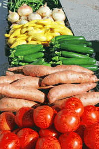 Fresh-Vegetables-1