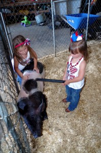 Josie and Abby checking on one of their show pigs.