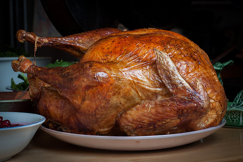 Beautiful thanksgiving turkey