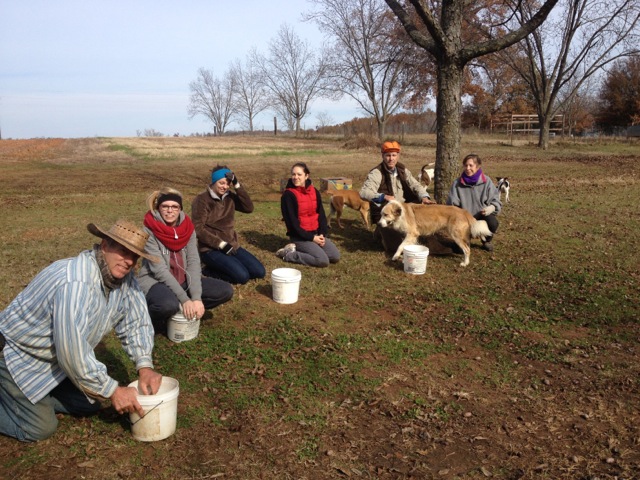 Barnhill Orchard