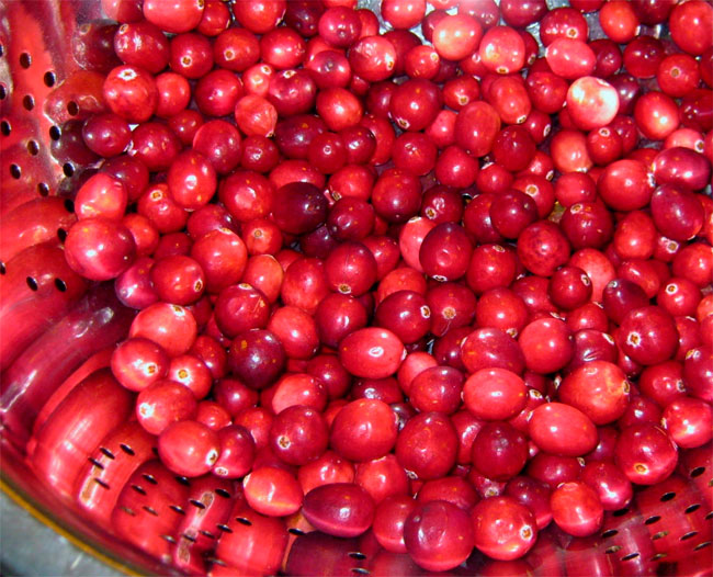 cranberry-dried