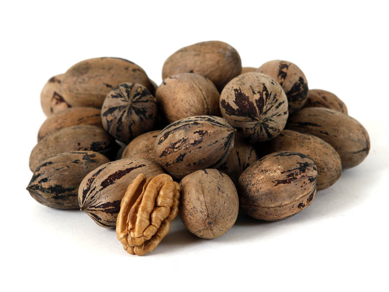 pecans