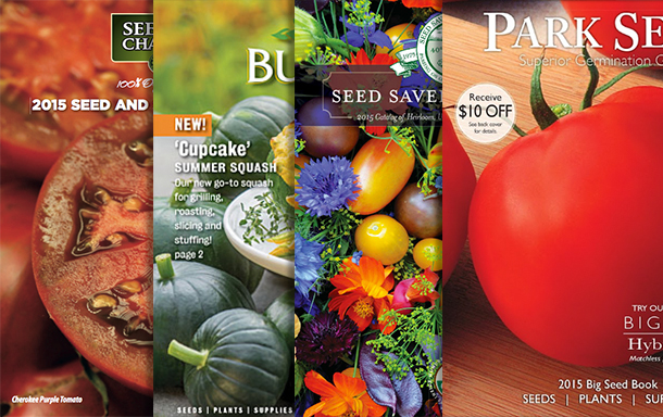 Seed-catalogs