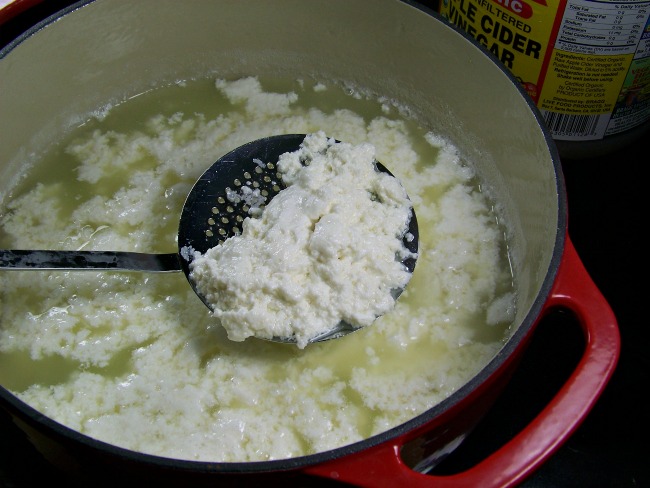 FB Taste Arkansas ricotta cheese curds and whey in pot