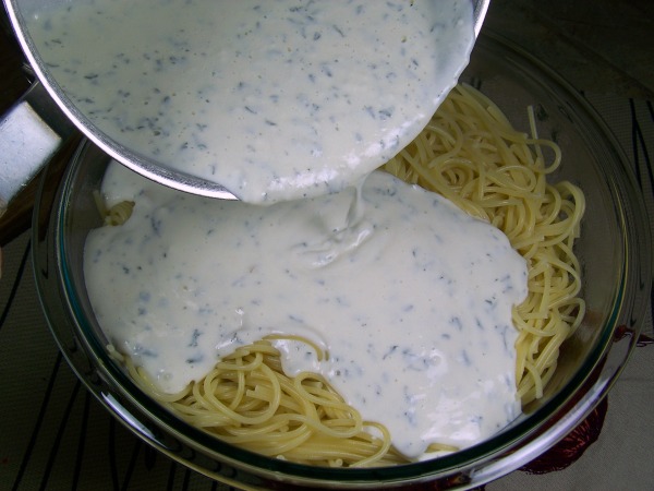 FB Taste ark chicken alfredo sauce