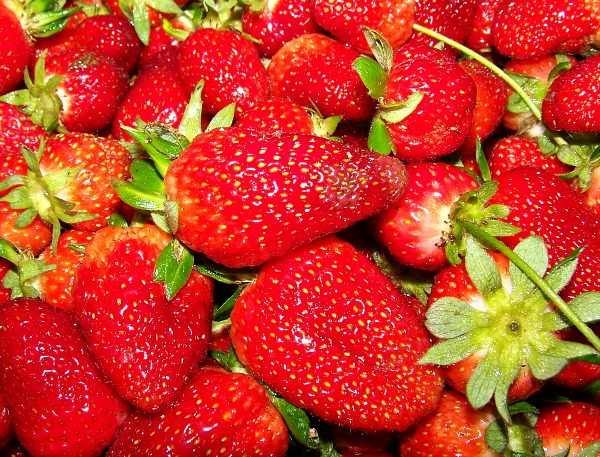 FB Strawberry pic header