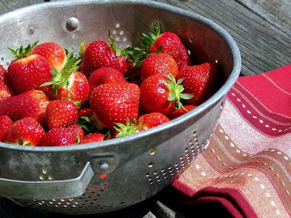 FB Strawberry picking colander