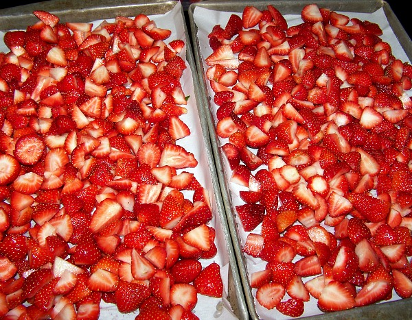 FB Strawberry picking on cookie sheets