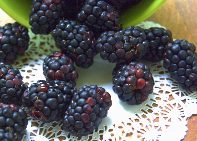 Taste Arkansas Berries black diningwithdebbie 650