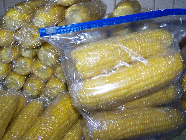 FB freezing corn- in bag