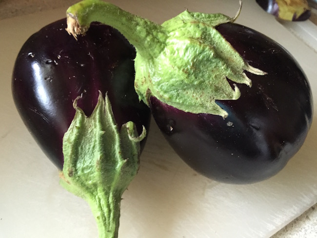 fresh eggplant