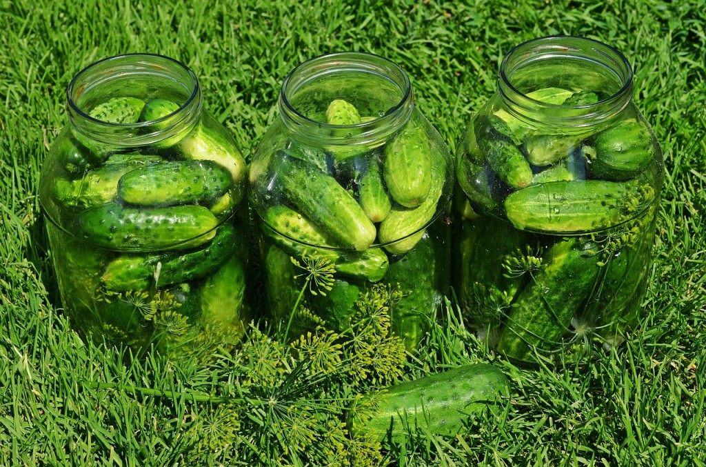 cucumbers