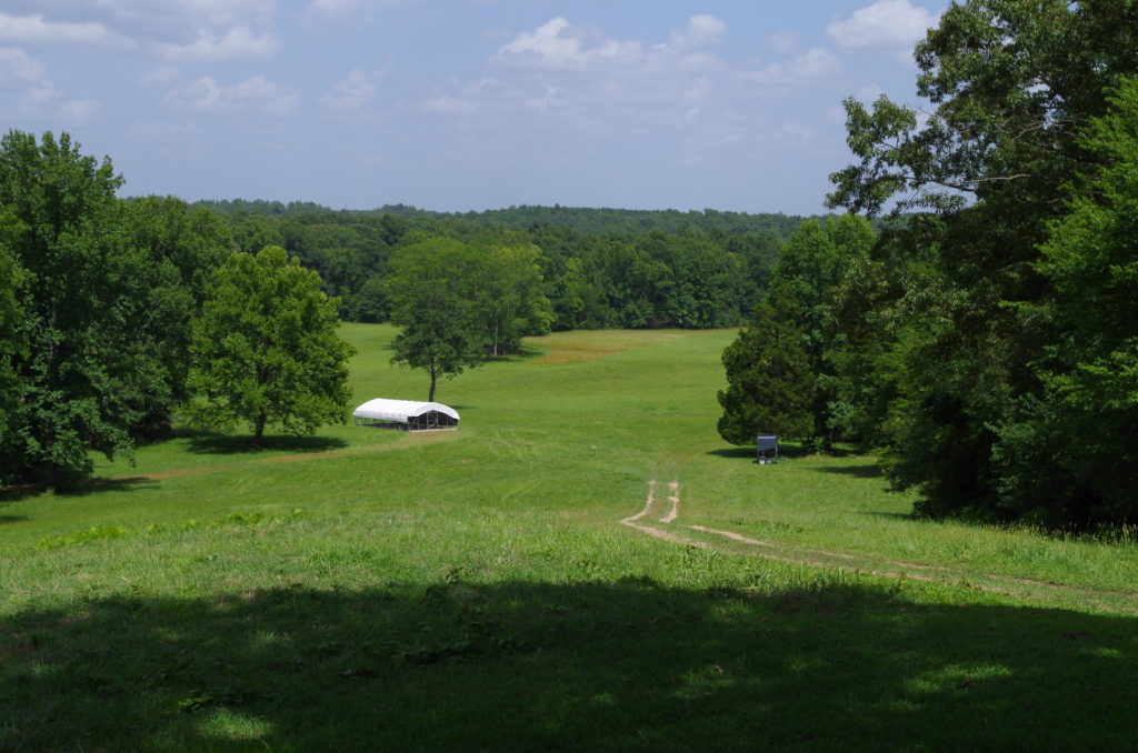 Damon Helton Pastured poultry