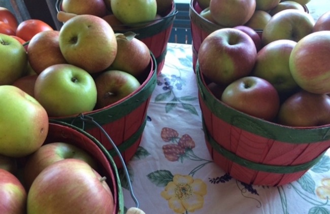 Arkansas apples