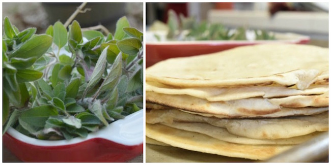 Oregano and tortillas Taste Arkansas