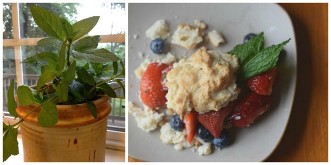 Berry Breakfast salad with fresh mint