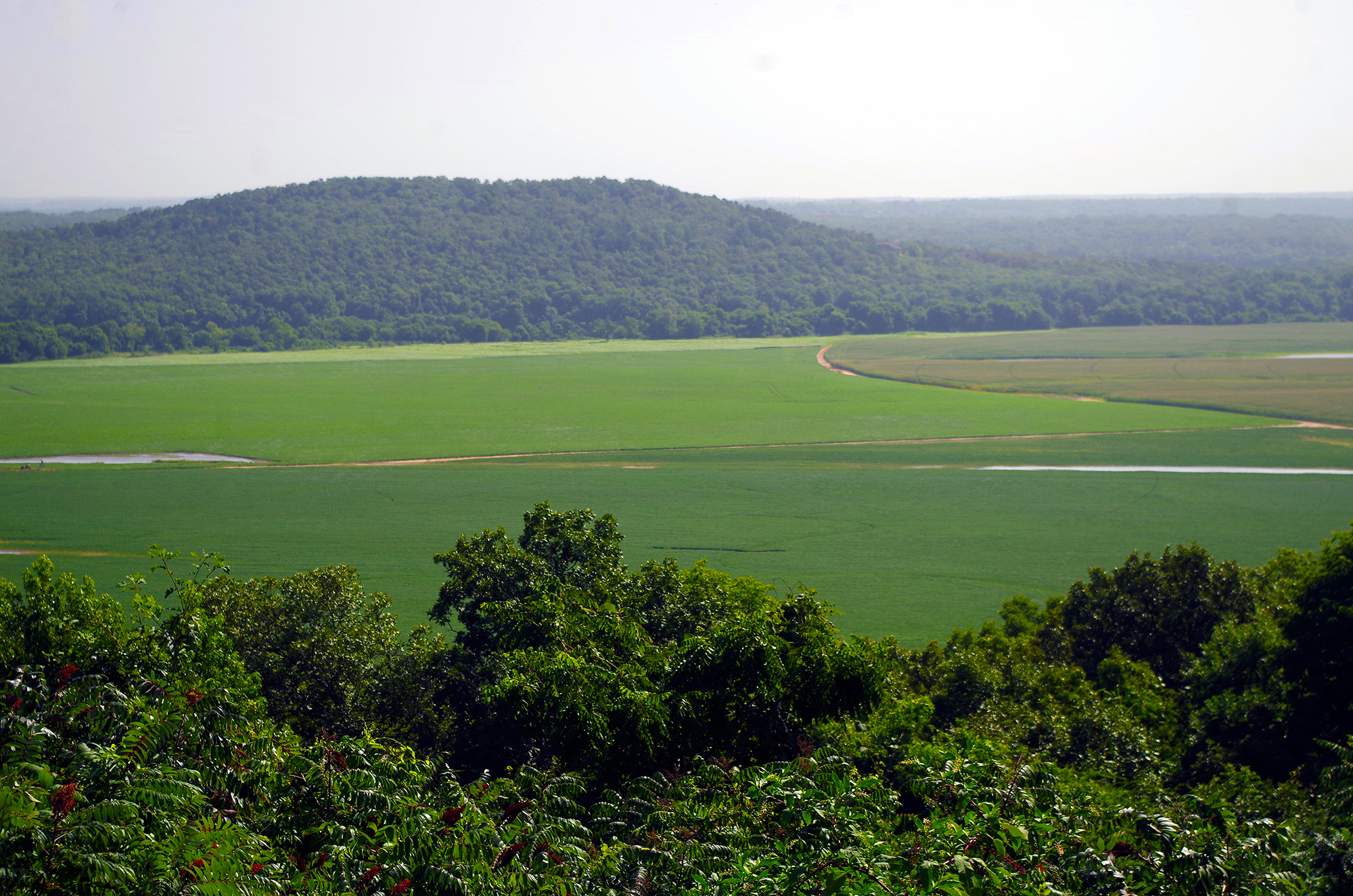 Fred and Sue Denison farm 07-12-16 KS 39_resize